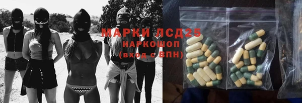 молекула духа Михайлов