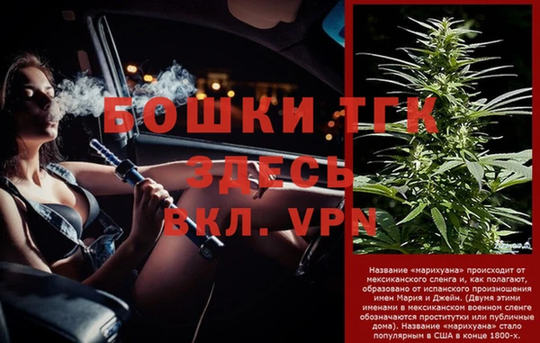 молекула духа Михайлов