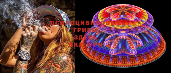 молекула духа Михайлов