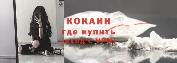 молекула духа Михайлов