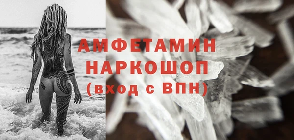 молекула духа Михайлов